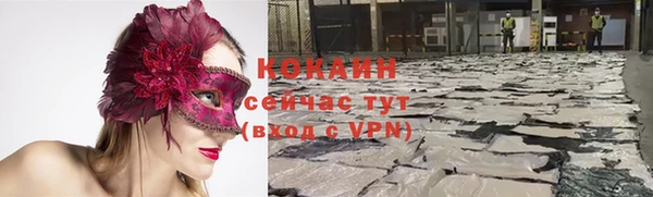 мет Инсар