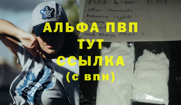 spice Белокуриха
