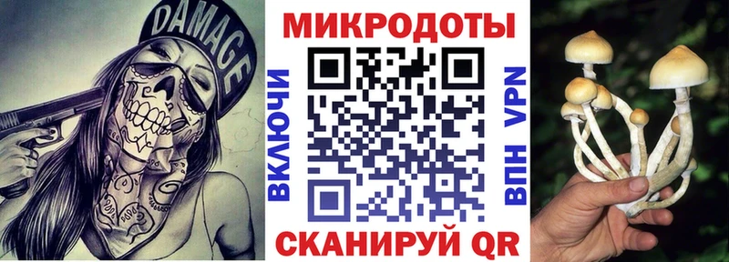 Псилоцибиновые грибы Psilocybine cubensis  Красноармейск 